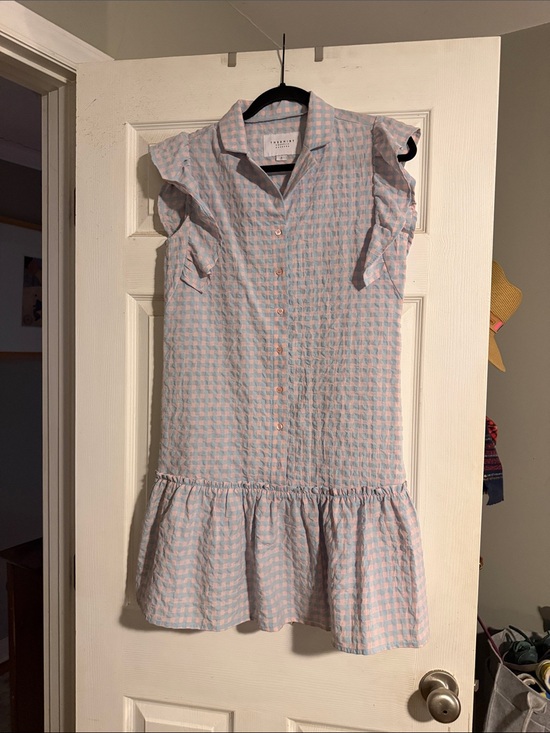 The Shirt by Rochelle Behrens Dresses & Skirts - Light Blue and Pink women’s Gingham Button-Front Dress